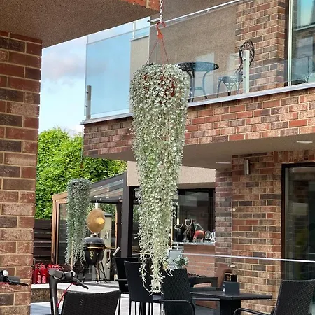 Old Town * 팔랑가